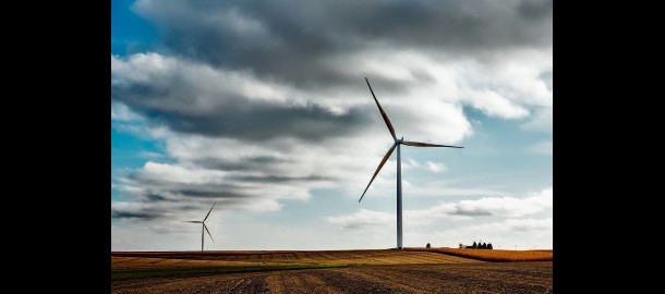 wind-g.jpg