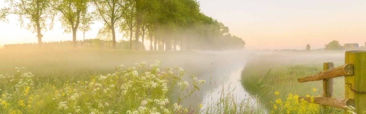 Weiland met veel groen.jpg